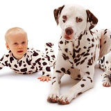 Baby with Dalmatian father and pup