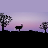 Oryx and Quiver Trees at sunrise
