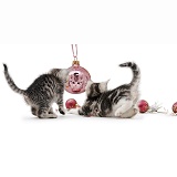 Kittens with Christmas baubles