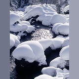 Snow on river boulders