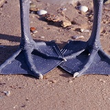 Australian Pelican feet