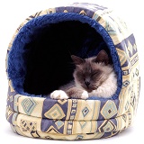 Birman cat asleep in basket