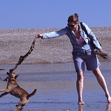 Terrier-cross leaping for seaweed