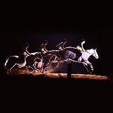 Multiple image of Welsh Pony jumping