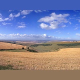Dorset view