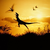 Coelurus leaping at pterosaur