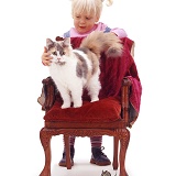 Little girl with cat on a chair
