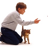 Boy teaching a cat to fetch