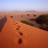 Foot prints in a sand dune