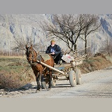 Man with horse and cart