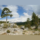 Rugged alpine scenery with limestone boulders