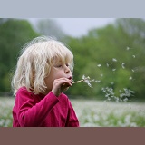 Girl blowing Dandelion seeds
