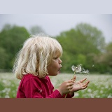 Little girl blowing Dandelion seeds