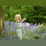 Little girl in Bluebell wood