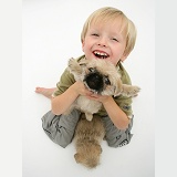 Child holding up Pugzu (Pug x Shih-Tzu) pup