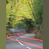 Country lane with autumnal trees and car tail light trails