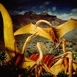 Giant Pterosaurs feeding on Triceratops carcass