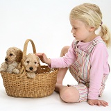 Girl with puppies in a basket