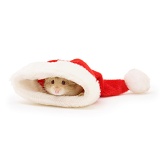 Hamster poking its nose out of a Santa hat