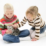 Girls with silver tabby kitten