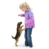 Girl with Border Terrier pup