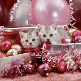 Silver tabby kittens with Christmas baubles