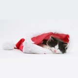 Black-and-white kitten asleep in a Santa hat
