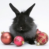 Black baby rabbit with Christmas baubles