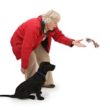 Lady throwing a toy for a puppy