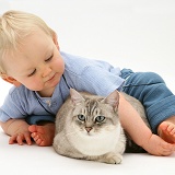 Toddler with Bengal cat
