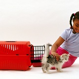 Girl putting kitten in a cat carrier