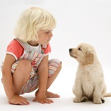 Little girl with Golden Retriever pup sitting