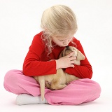 Girl with Yellow Labrador Retriever puppy, 7 weeks old