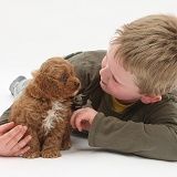 Boy with Cockapoo pup
