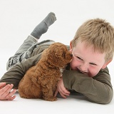 Boy with Cockapoo pup