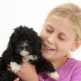 Girl cuddling black Cavapoo puppy
