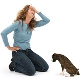 Lady disparing at Boxer puppy peeing on floor