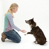 Girl offering to shake paws with dog