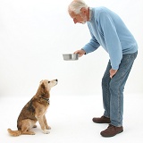 Giving a dog a treat