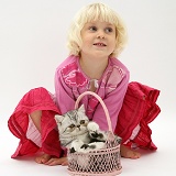 Little girl with silver Exotic cat in a basket