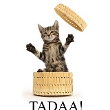 Tadaa - tabby kitten bursting out of a basket - Tadaa