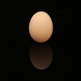 Hen's egg on black background