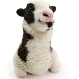 Jacob sheep lamb