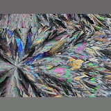 Sugar crystals viewed by polarised light
