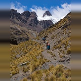 Bolivian woman leading donkeys up a high mountain path