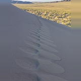 Footprints in Singing Sand Dunes