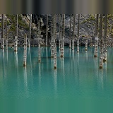 Submerged Forest, Lake Kaindy, Kazakhstan