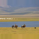 Yurts and horses by Song Kul Lake, Kyrgyzstan