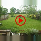 3 Year Time Lapse in a garden